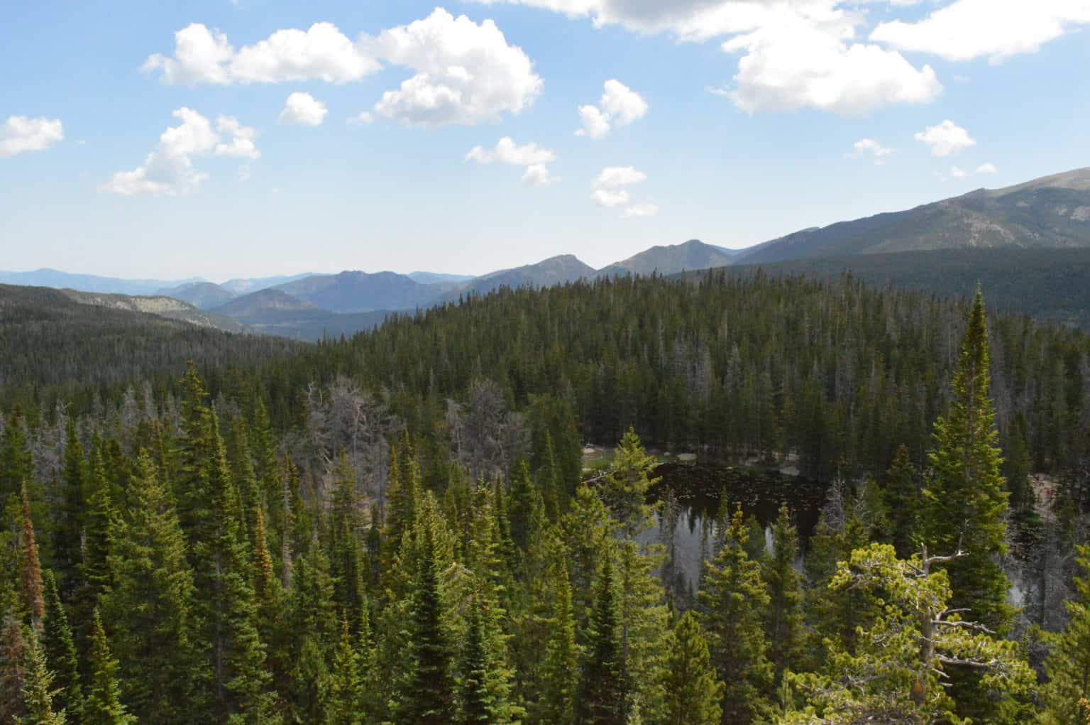 journey-to-the-highest-road-in-america